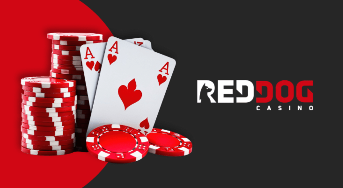 Red Dog Casino: Overview of All Available Bonuses and Promo Codes 2